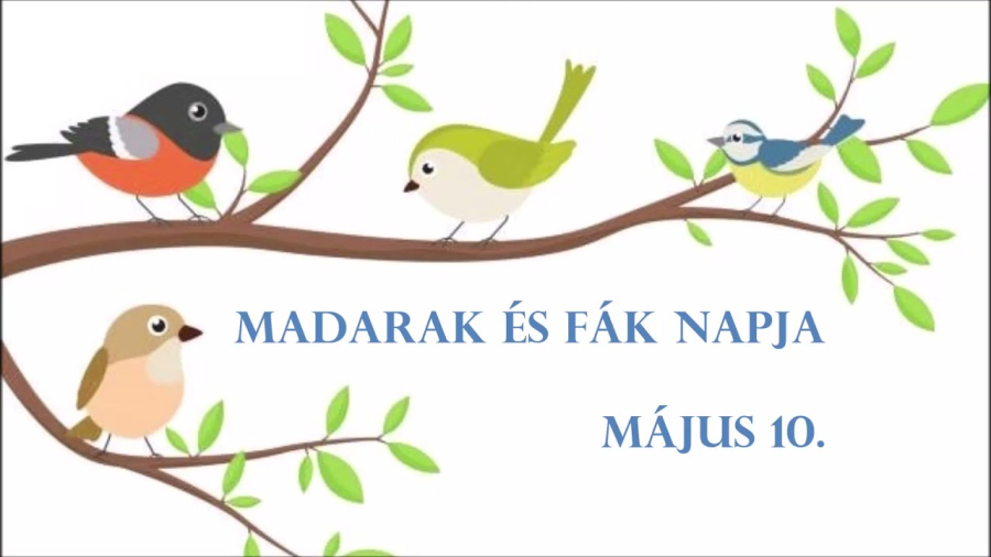 madarak_es_fak